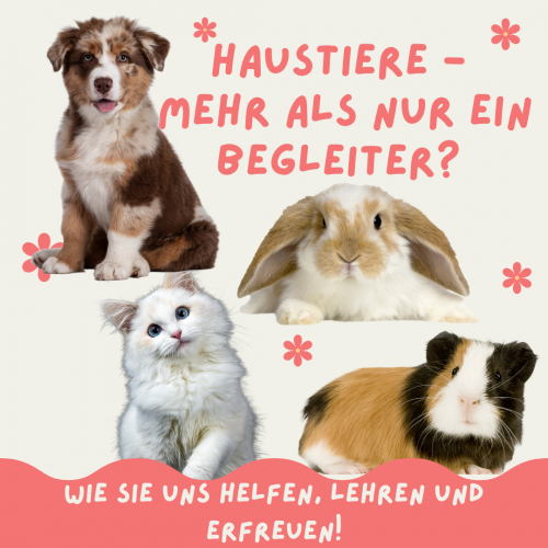 Wie Tiere gegen Depressionen helfen können