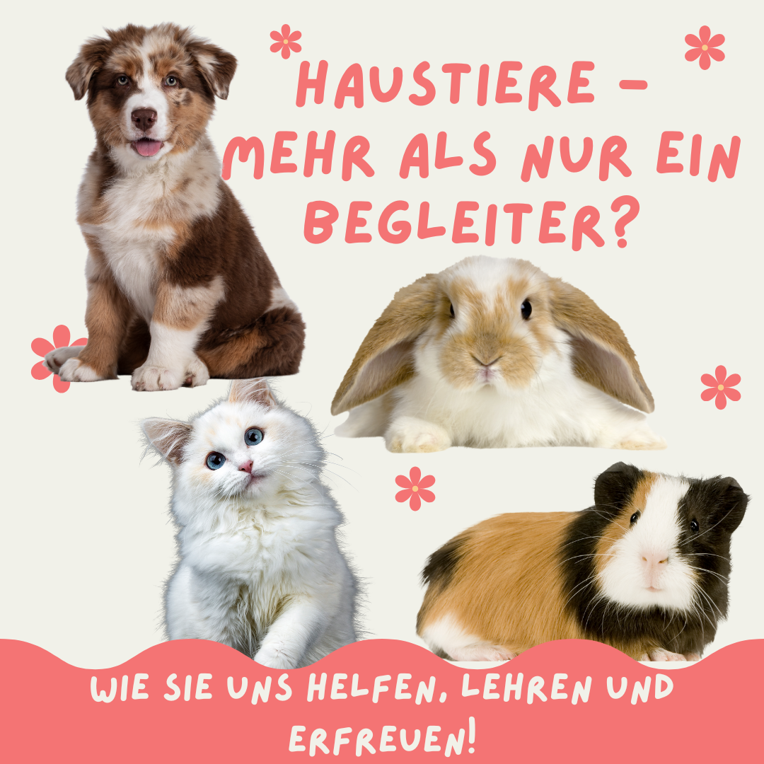 Wie Tiere gegen Depressionen helfen können